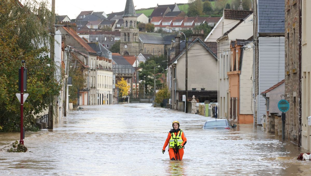 découvrez comment les assurances peuvent vous protéger face aux catastrophes naturelles. apprenez les différents types d'assurances disponibles, leurs couvertures, et conseils pour bien vous préparer aux imprévus.