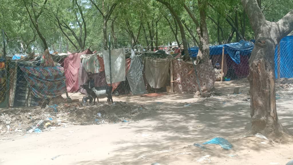 découvrez notre guide complet post-tempête nils pour aider les sinistrés : conseils pratiques, démarches administratives et soutien indispensable après la tempête.