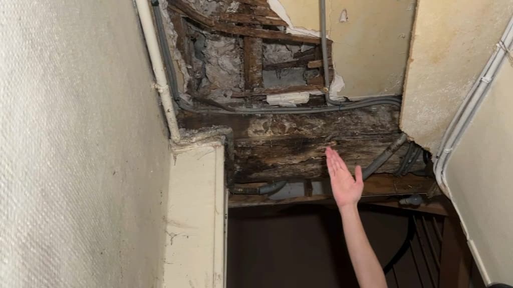 découvrez les dangers d'un immeuble envahi par une moisissure géante et les solutions pour y remédier efficacement.