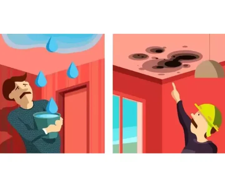 découvrez notre combat de 2 ans contre une infiltration d'eau, solutions mises en place et conseils pour éviter ce problème durablement.