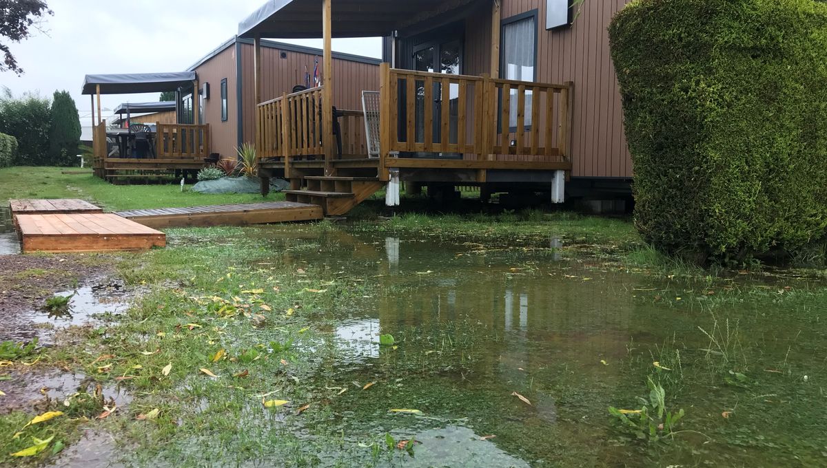 découvrez comment une mère s'adapte en mode camping chez elle pour faire face à un dégât des eaux, transformant une situation difficile en une aventure familiale pleine de créativité.